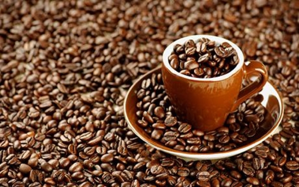 Hạt cà phê rang - Hạt Điều Bình Phước - Cơ Sở Sản Xuất Thương Mại Dịch Vụ Nông Sản Khánh Hòa
